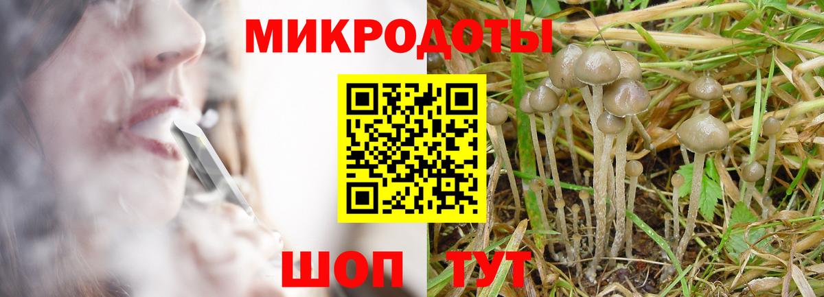 Псилоцибиновые грибы GOLDEN TEACHER  Галлюциногенные грибы мицелий  Вход с VPN  Аксай 