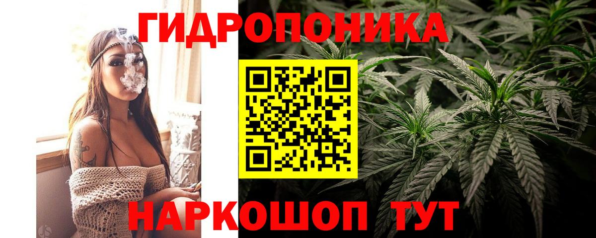 Бошки марихуана сатива Аксай